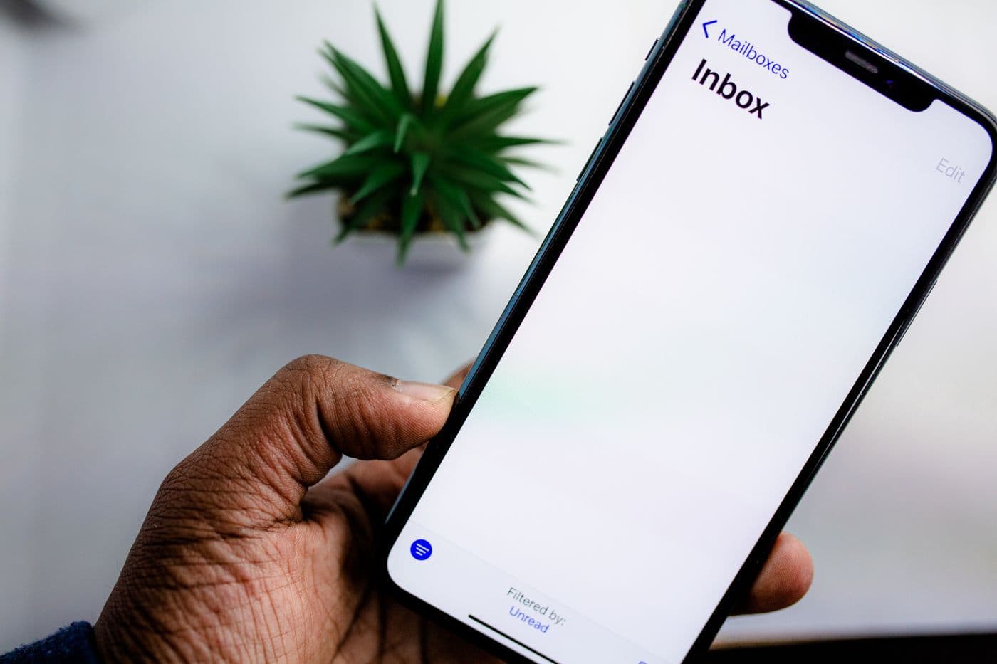 Hand holding a smartphone showing an empty mail inbox, a plant behind